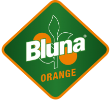 Logo der Marke Bluna.