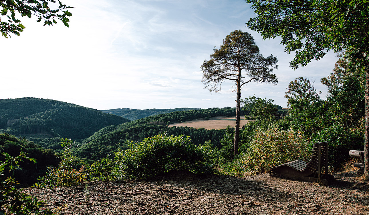 Green nature under blue skies in the Vulkaneifel.